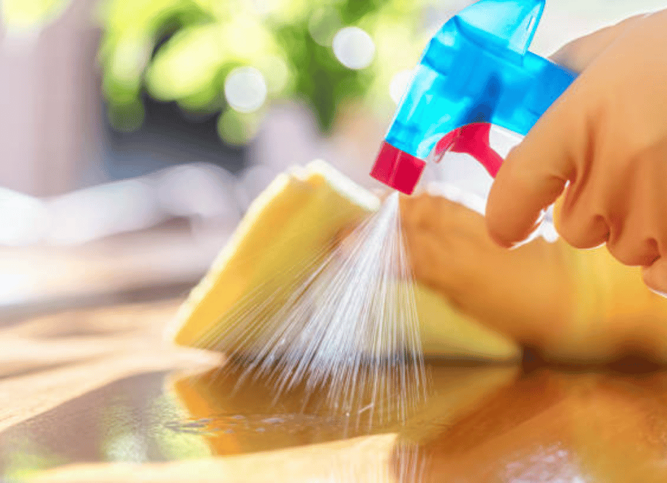 SOAP SERVIZI PULIZIE LEQUILE (2)
