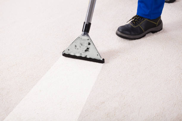 Close-up Of A Person Using Vacuum Cleaner For Cleaning Carpet At Home